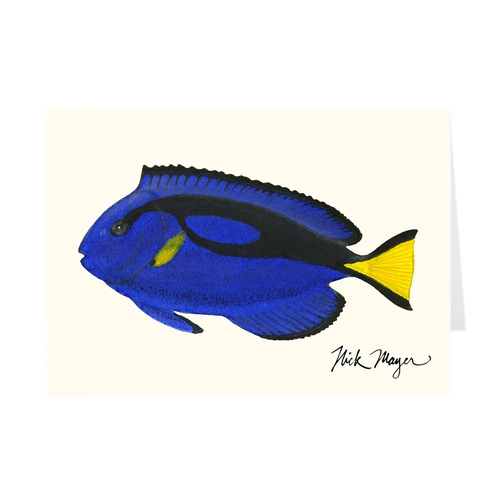 Blue Tang Notecards