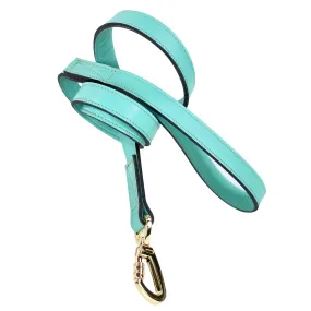 Daisy Dog Leash in Turquoise & Gold