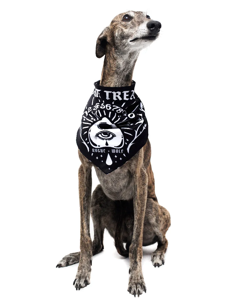 Give Me Treatos Ouija Pet Bandana - Dog or Cat