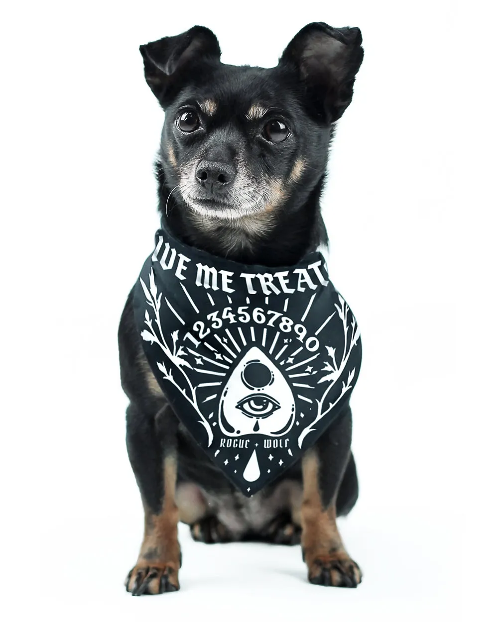 Give Me Treatos Ouija Pet Bandana - Dog or Cat