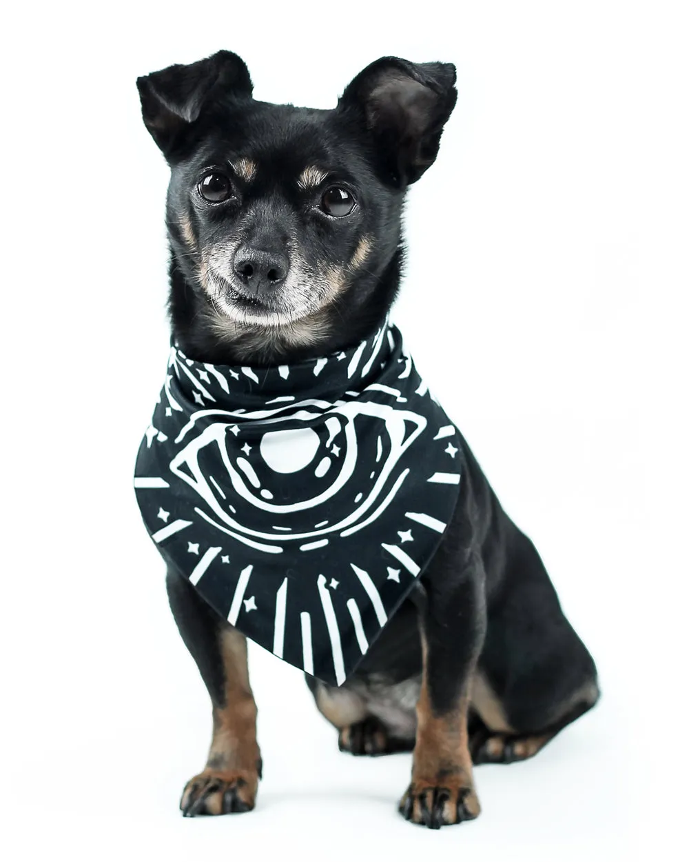 Give Me Treatos Ouija Pet Bandana - Dog or Cat