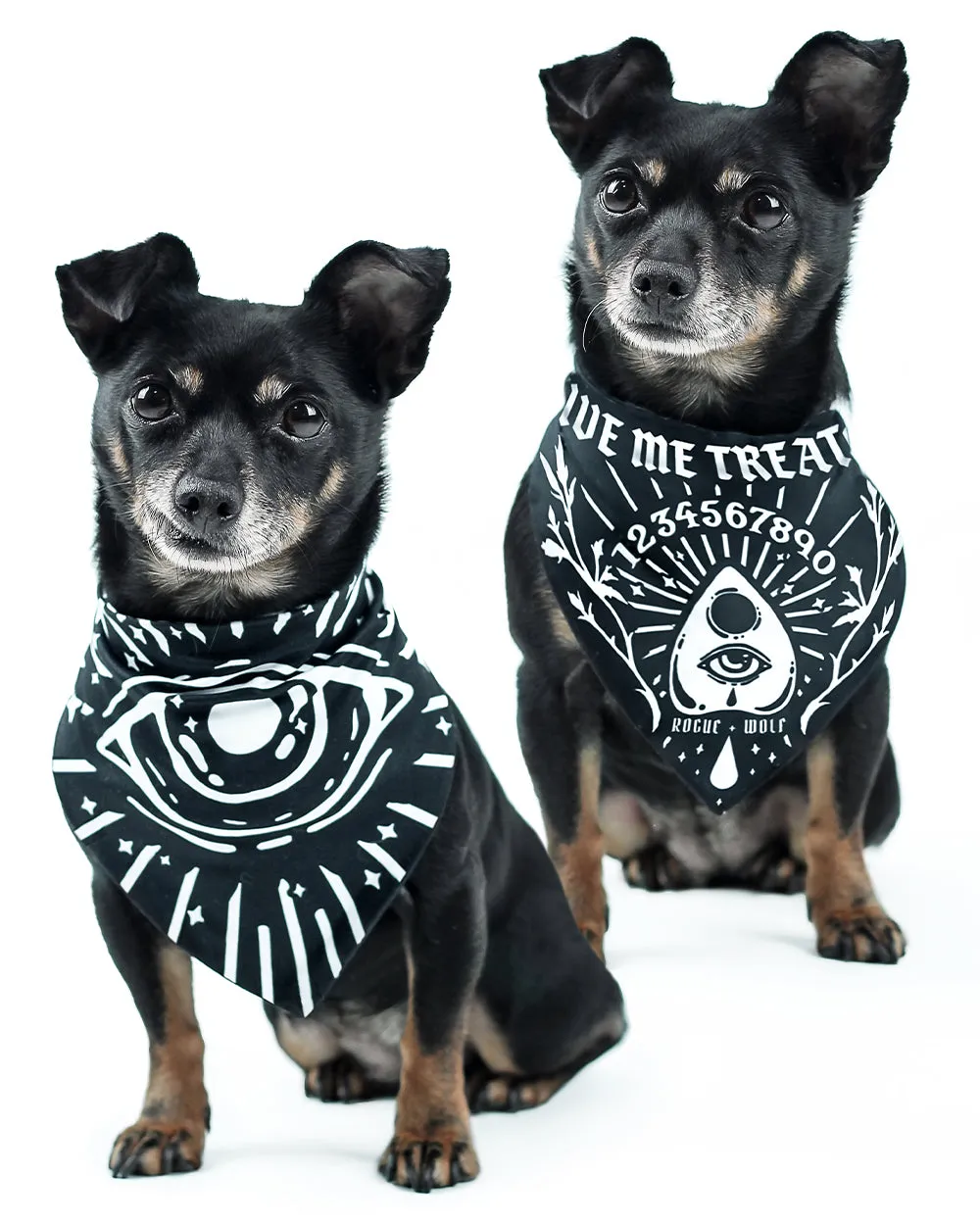 Give Me Treatos Ouija Pet Bandana - Dog or Cat