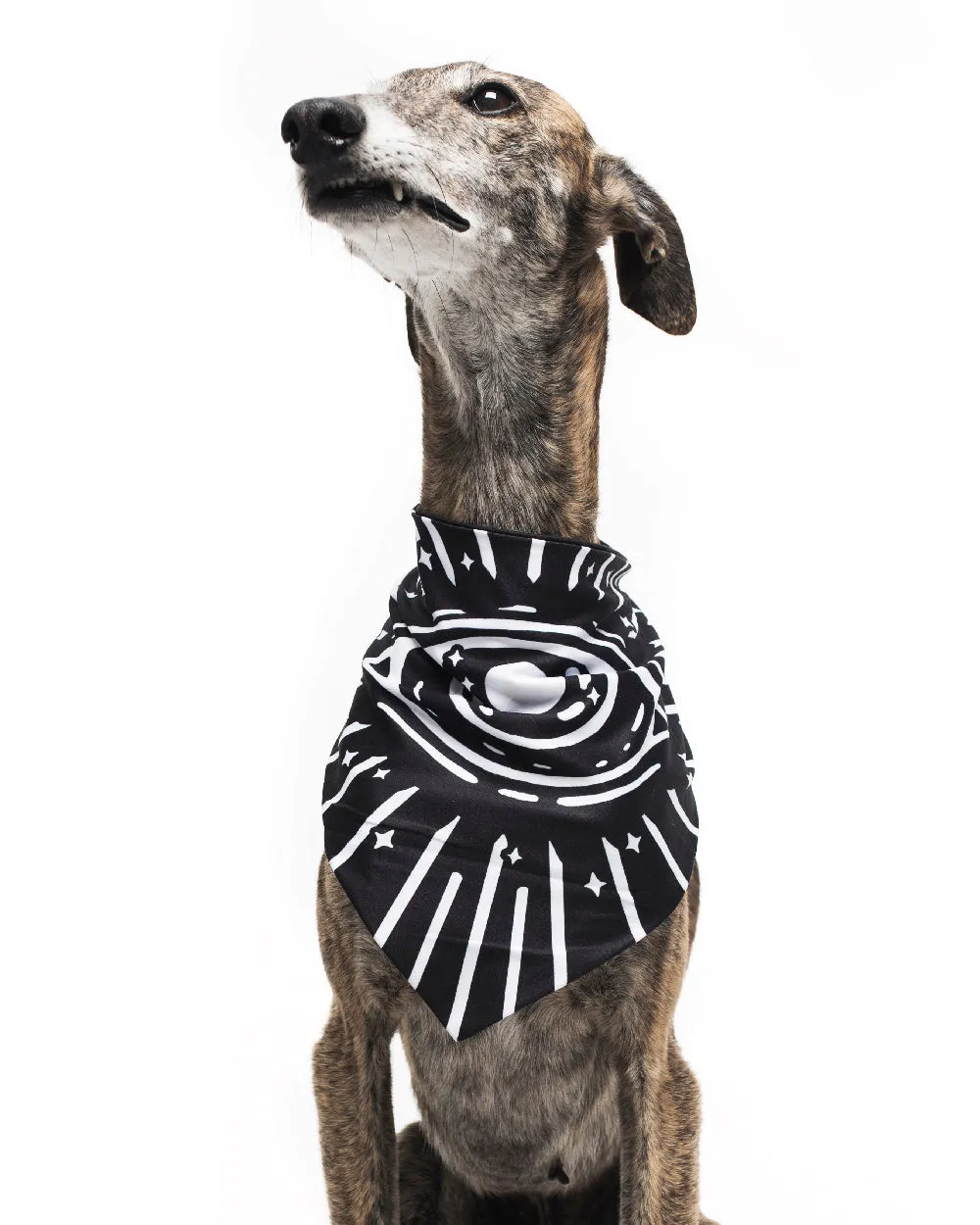 Give Me Treatos Ouija Pet Bandana - Dog or Cat