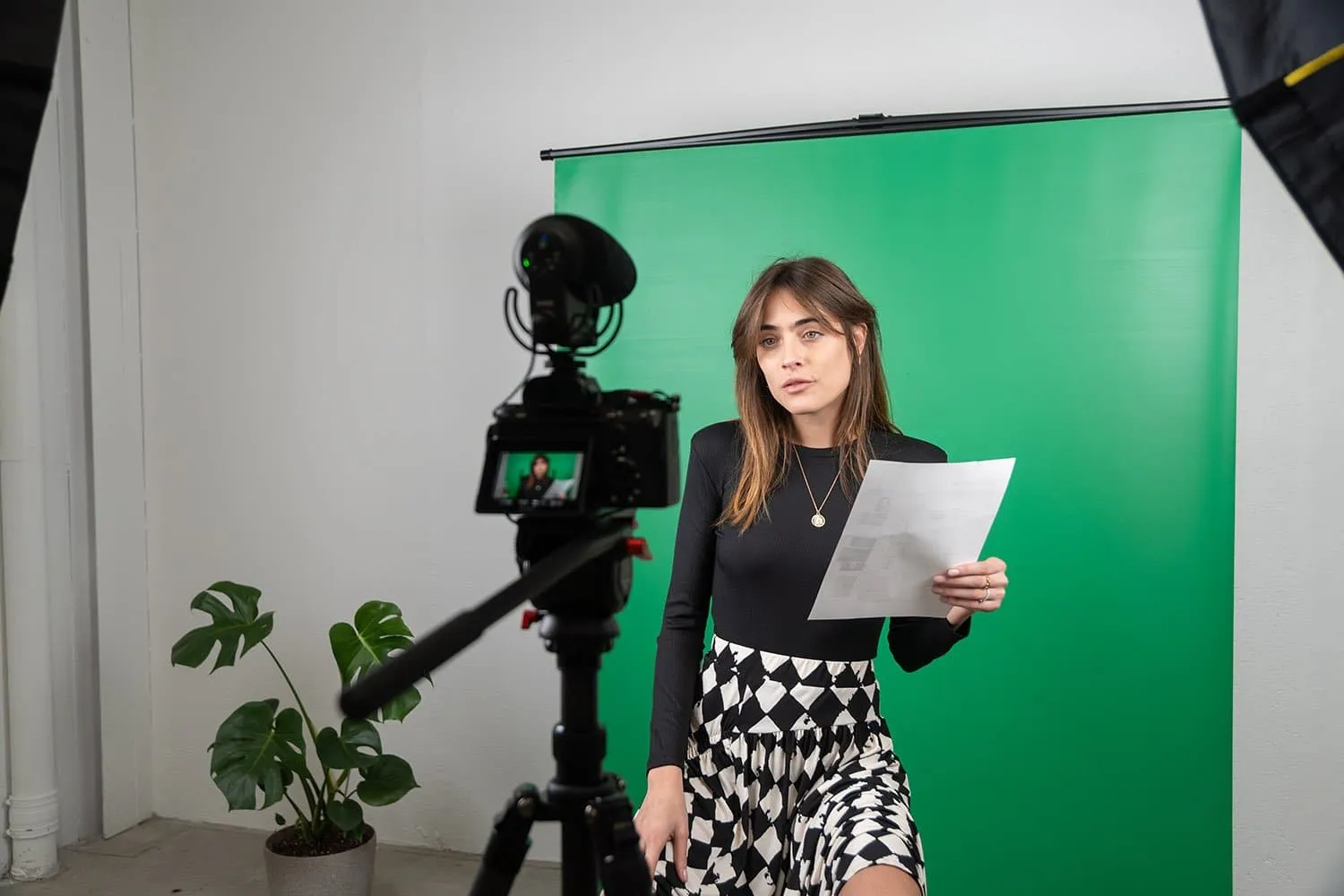 'Live Stream Master' Pull Up Chroma Key Green Screen Backdrop for Video (148cm x 190cm)