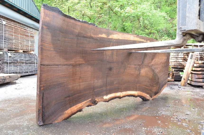 Oregon Black Walnut Slab 051022-02