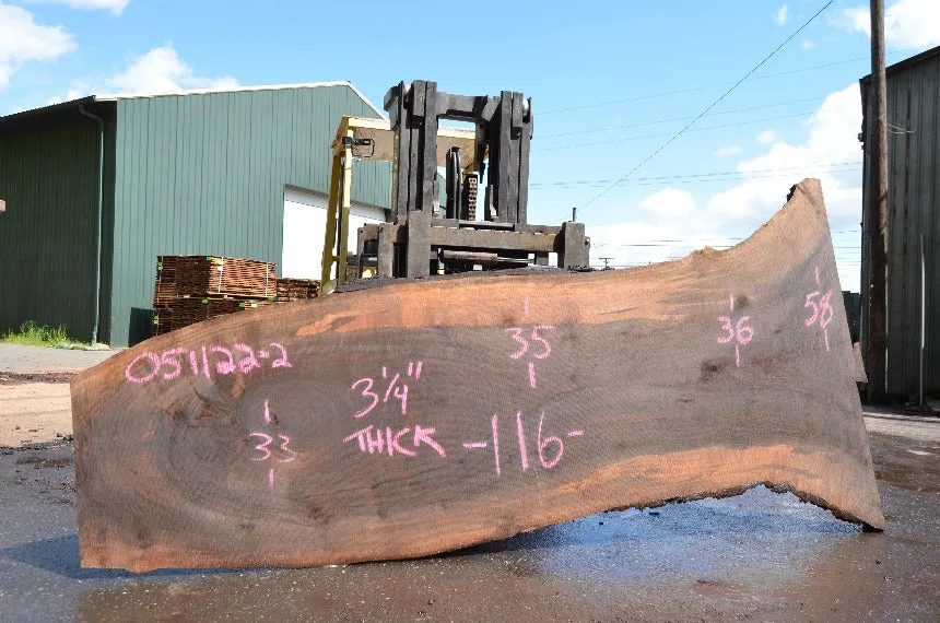 Oregon Black Walnut Slab 051122-02