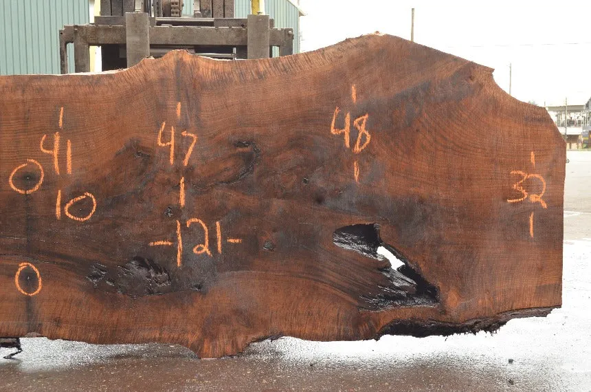 Oregon Black Walnut Slab 060322-06