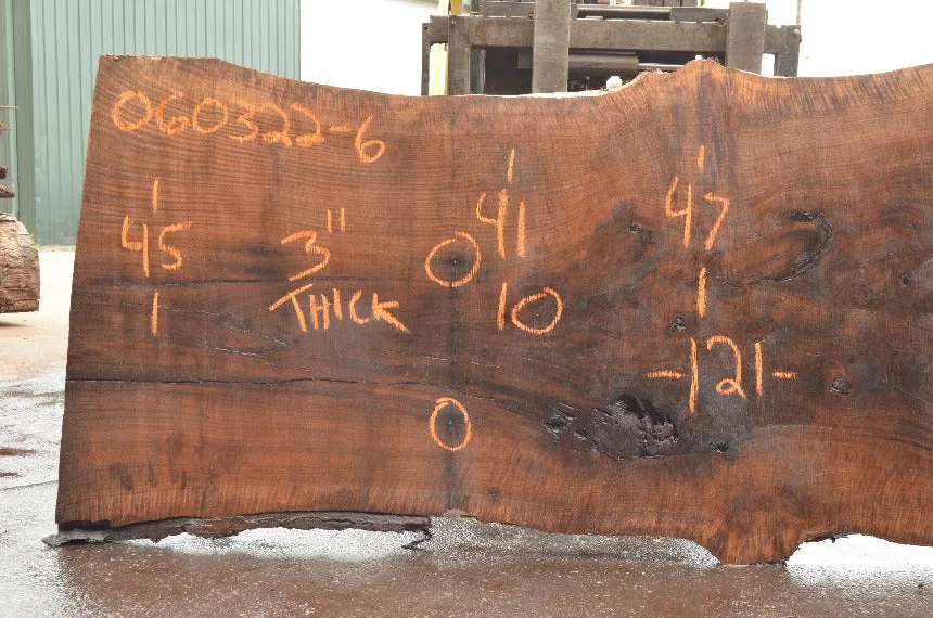 Oregon Black Walnut Slab 060322-06