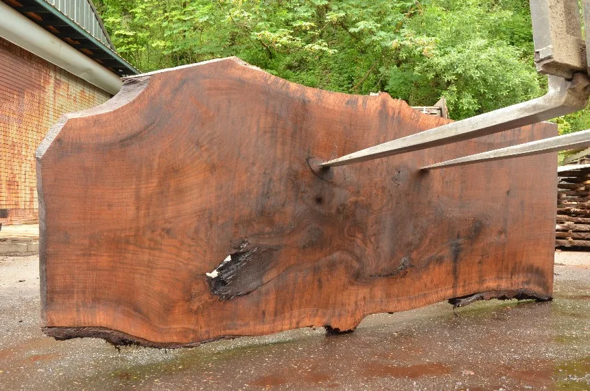 Oregon Black Walnut Slab 060322-06