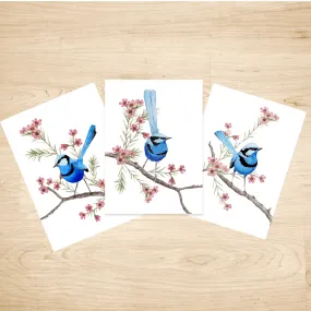 Splendid Blue Wren Prints set of 3